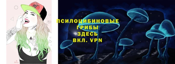 a pvp Арсеньев