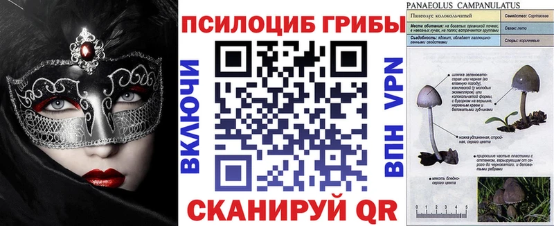кракен рабочий сайт Петропавловск-Камчатский Галлюциногенные грибы MAGIC MUSHROOMS